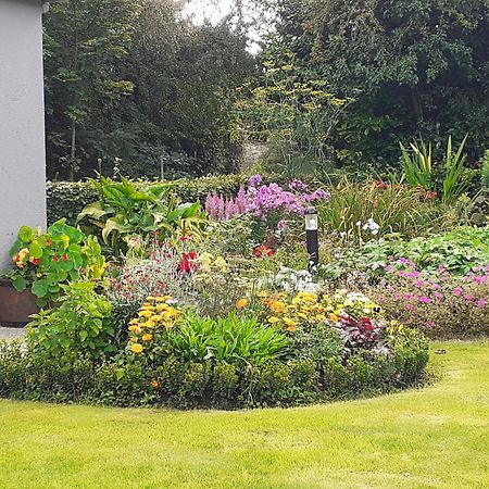 Conways B&B Claremorris Buitenkant foto