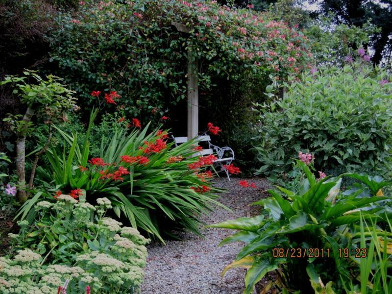 Conways B&B Claremorris Buitenkant foto